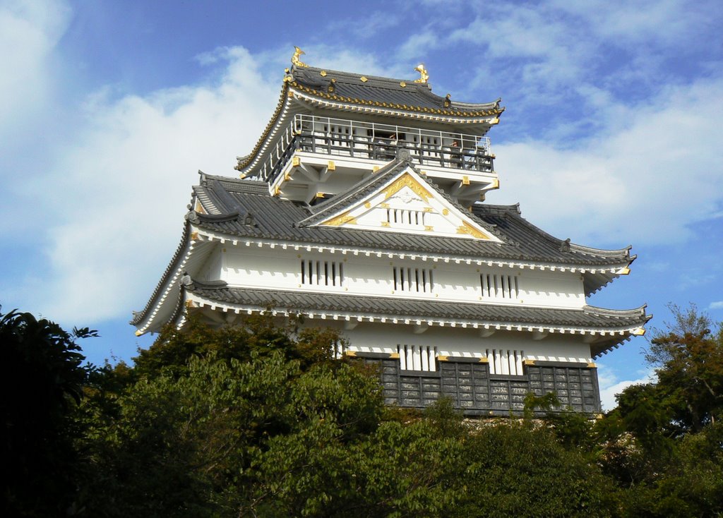 Gifu castle, Гифу
