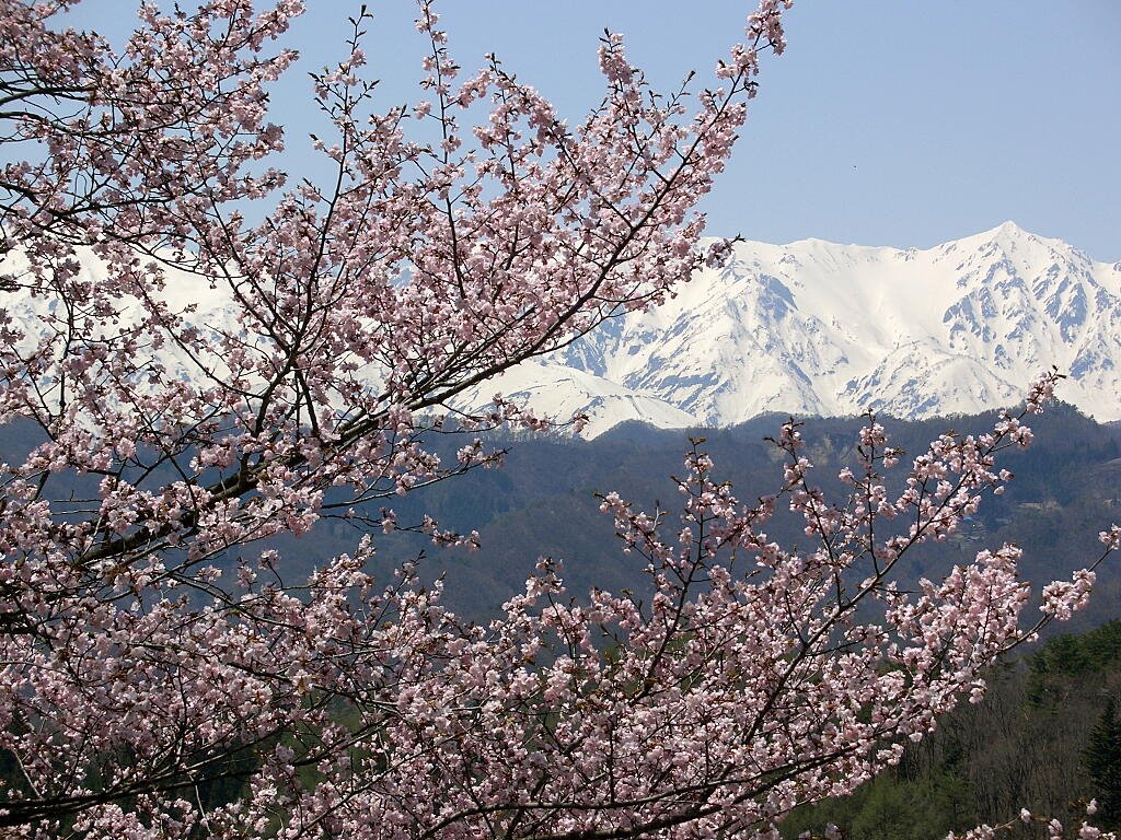 Japanese Alps 北アルプス, Мебаши
