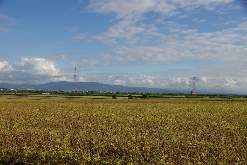 旧札沼線の北竜駅方面の眺望, Нумата