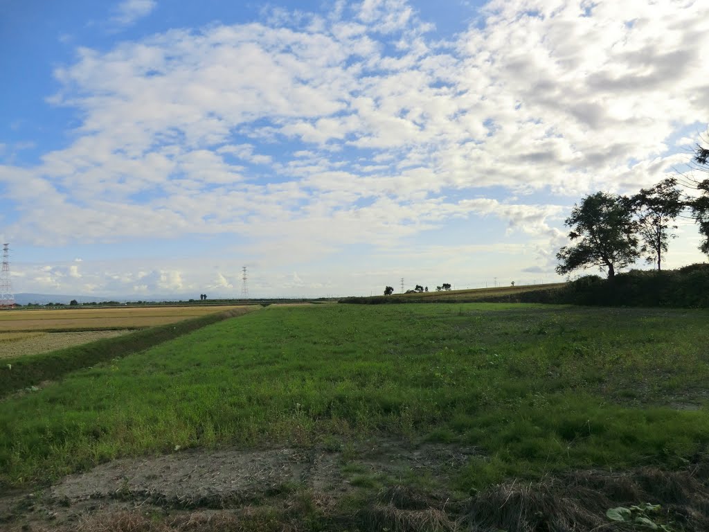 札沼線　北竜駅付近の眺望（右側の盛り上がりが線路跡）, Нумата