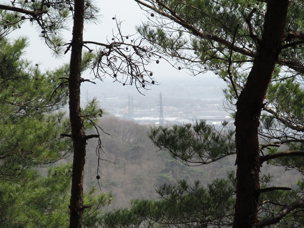 Ota view from Mt.Kanayama (ByCarioca_Japan), Ота
