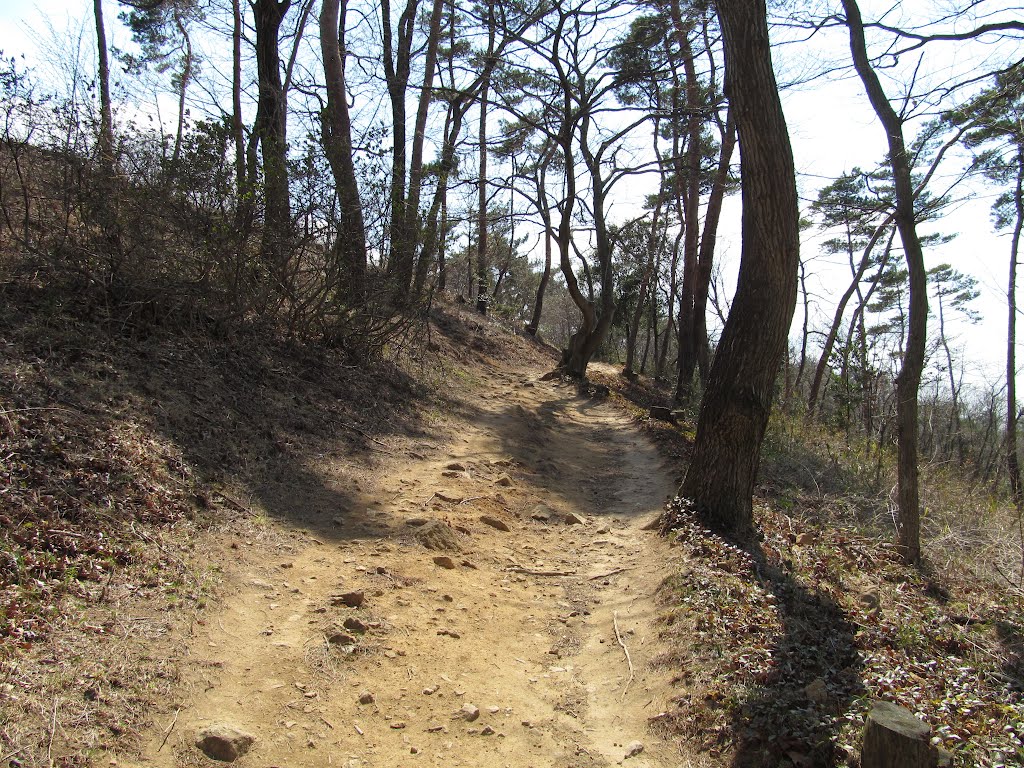 trail in Mt. Kanayama (ByCarioca_Japan), Ота