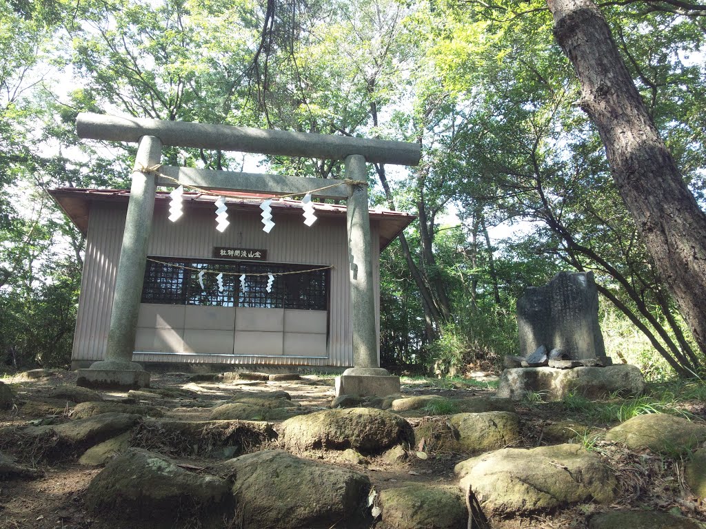 Kanayama-sengen shrine, Ота