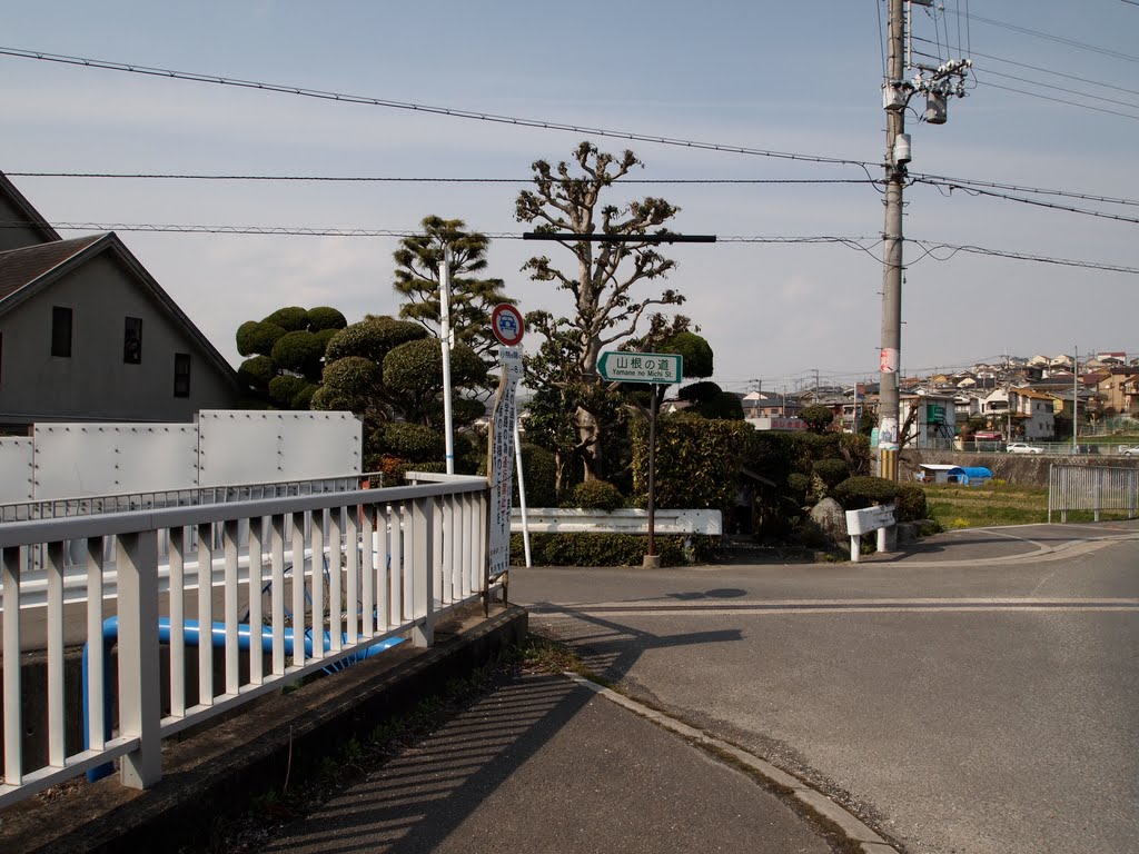 Ymane no Michi St. 山根の道, Ибараки