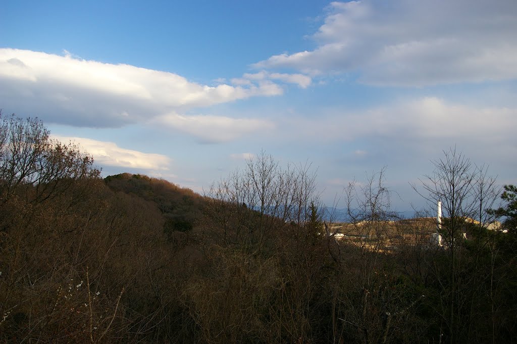 梅の小道展望台, Ибараки