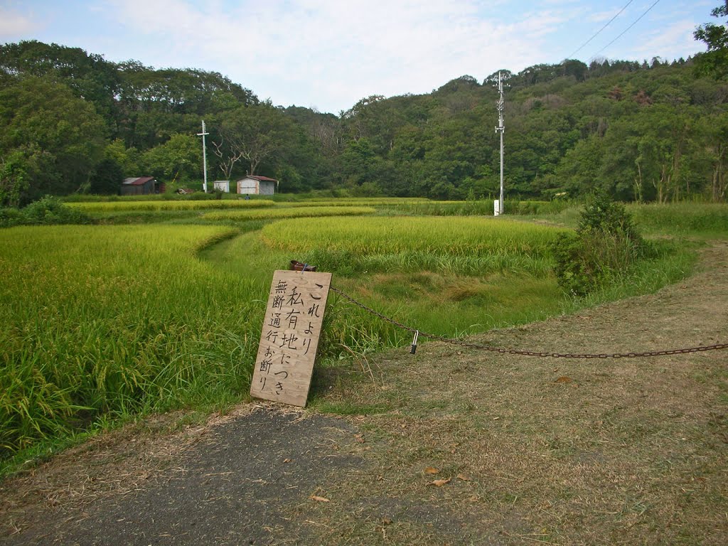 田んぼ, Ибараки