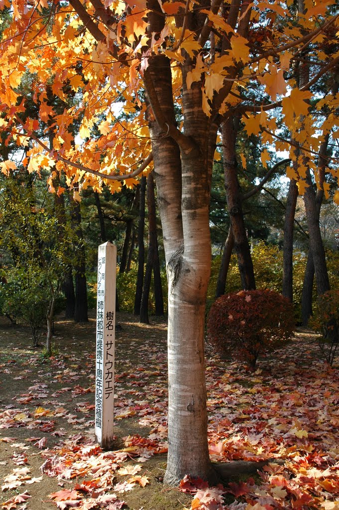 姉妹都市提携十周年記念植樹(06.11.5), Мориока
