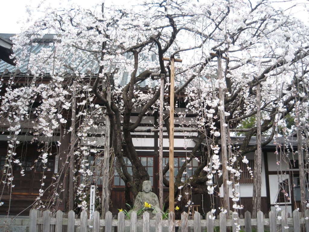Moriokashidare of Ryukoku-ji Temple, Мориока
