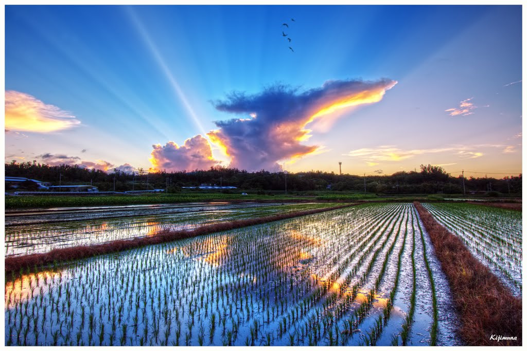 Sunset over Rice Fields, Коматсу