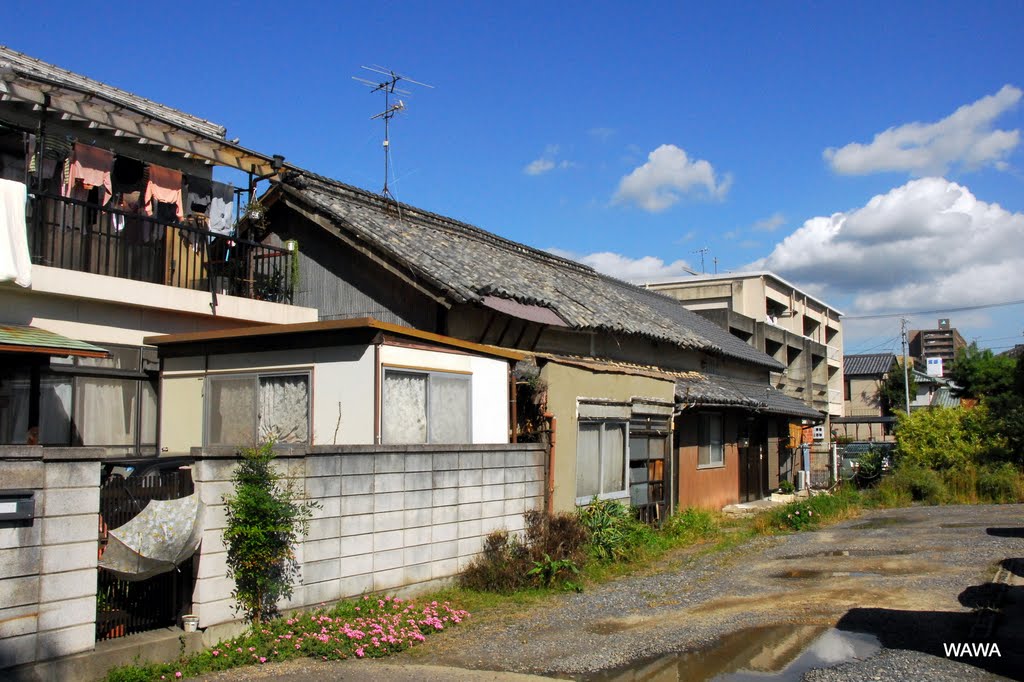 Roof tiles near Sakaide City Hospital　坂出市民病院そばの瓦屋根民家, Сакаиде