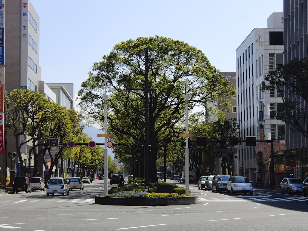 鹿児島駅前, Изуми