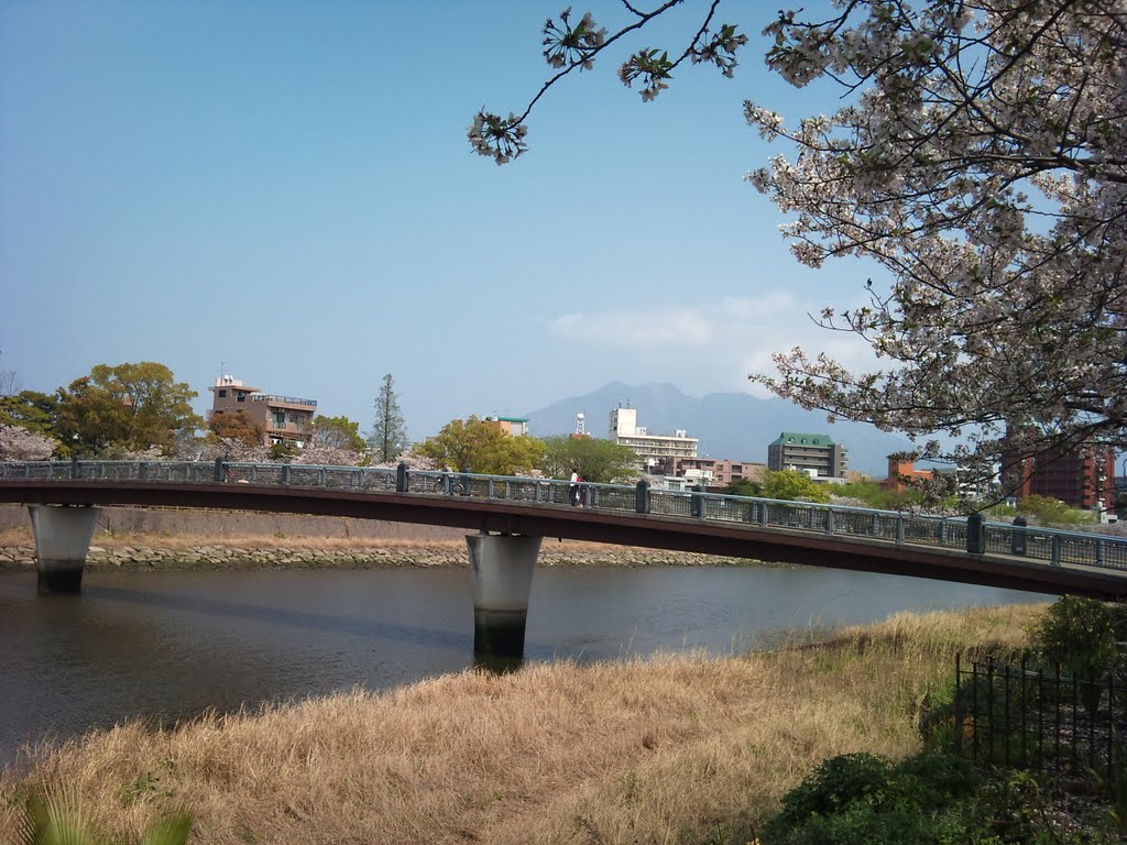 松方橋と桜, Каноя