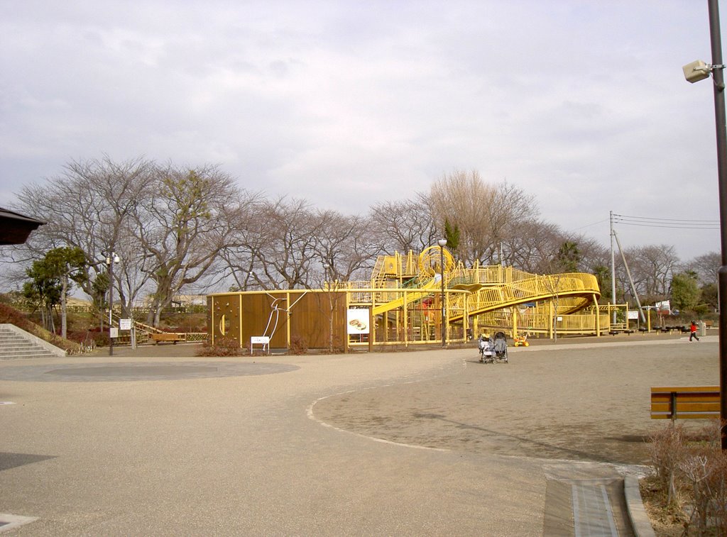 相模三川公園 大型遊具, Ацуги