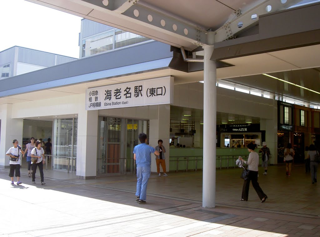 海老名駅　自由通路整備完了後, Ацуги