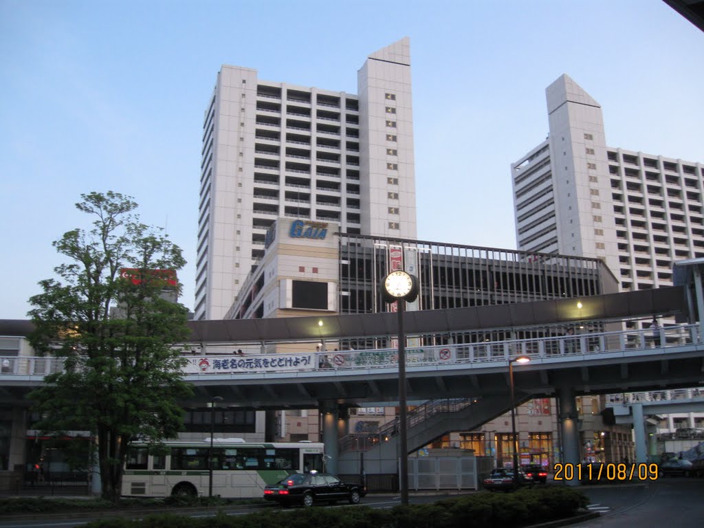 海老名駅前 ビナマークスと自由通路, Ацуги