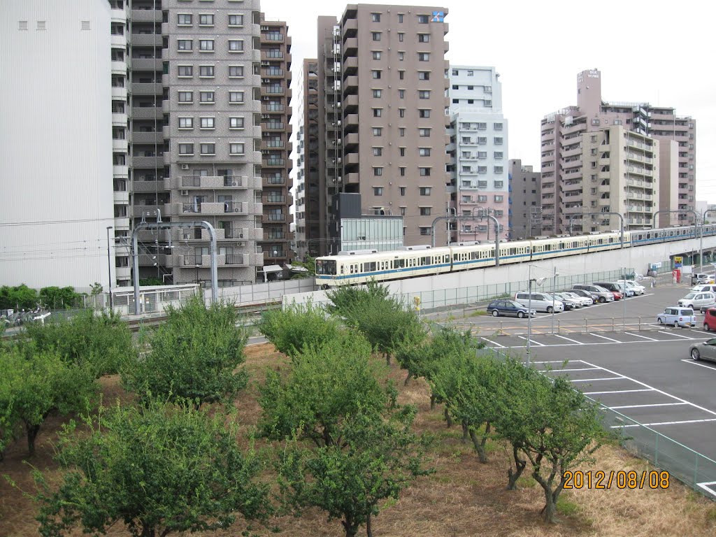 海老名跨線橋から見る小田急小田原線, Ацуги