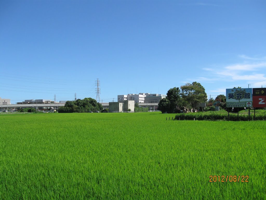 水田と海老名総合病院, Ацуги