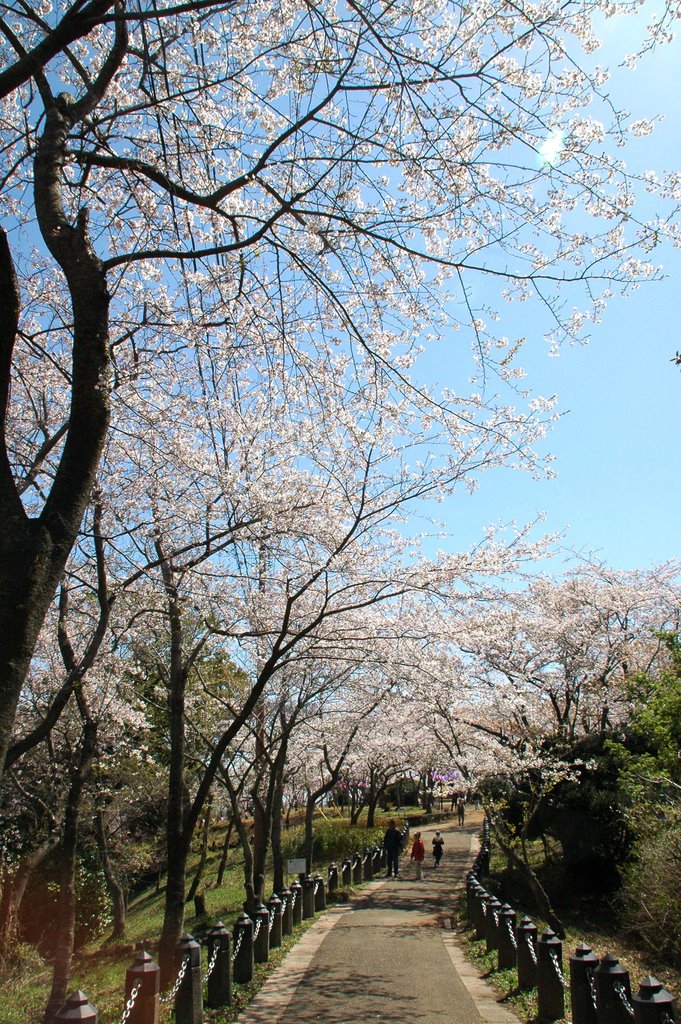 衣笠山公園(Kinugasayama park in Yokosuka), Йокосука