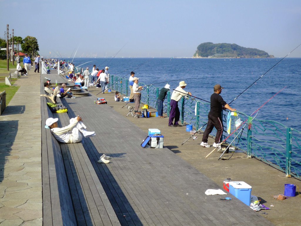 海辺つり公園(Seaside fishing park), Йокосука