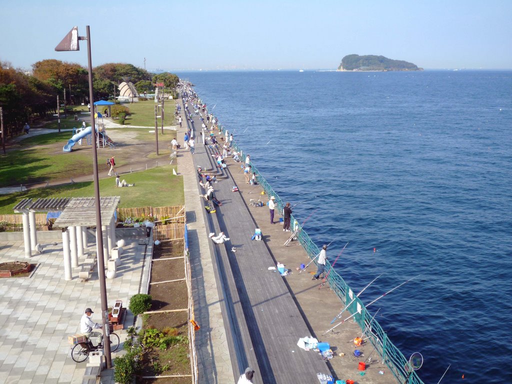 海辺つり公園(Seaside fishing park), Йокосука