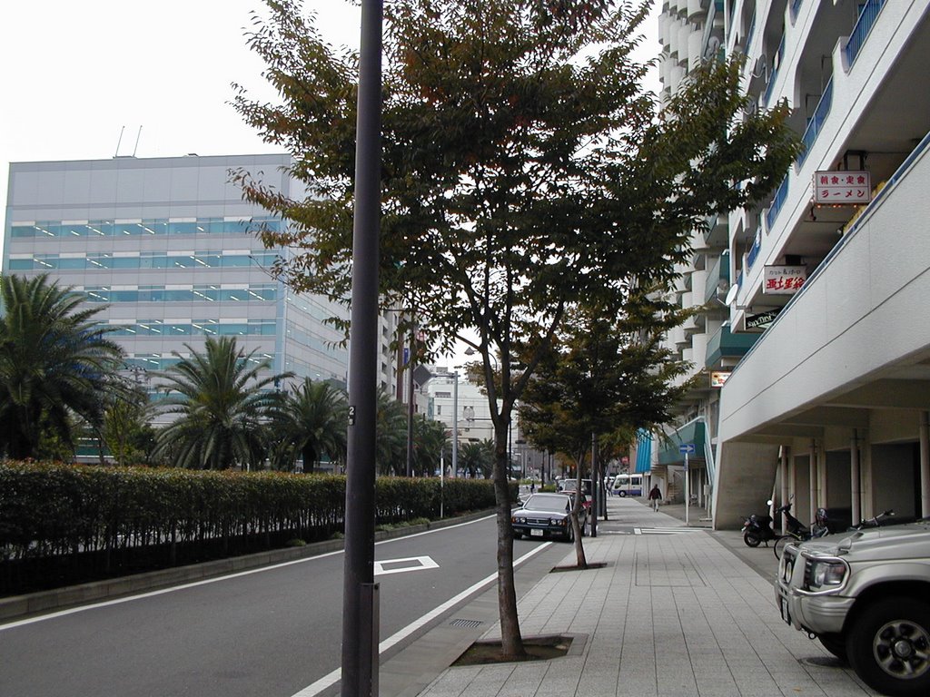 Ogawacho, Йокосука