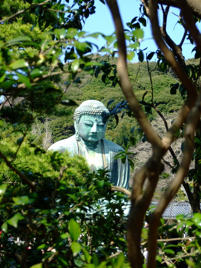Peeking Through Trees at Daibutsu, Камакура