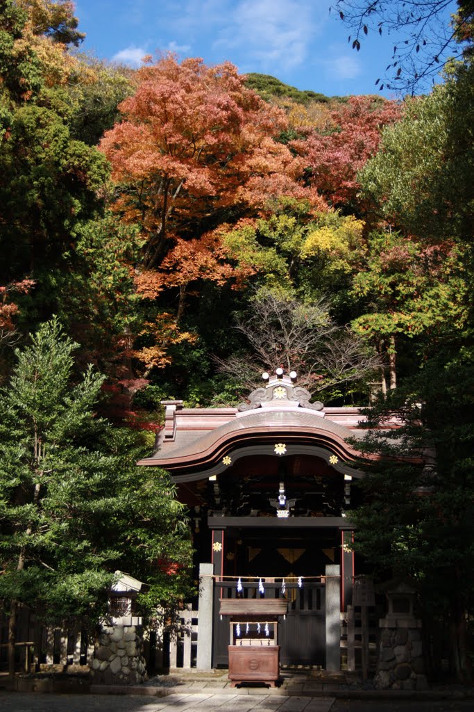 鶴岡八幡宮　白旗神社, Камакура