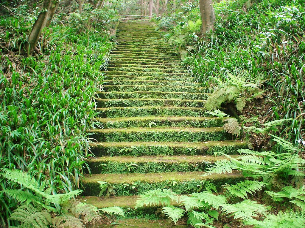 妙法寺 苔の階段, Камакура