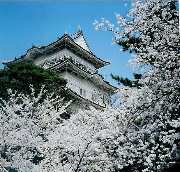 Odawara Castle in Spring, Одавара