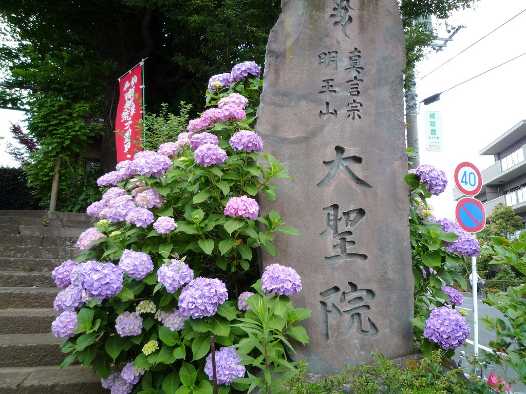 大聖院(Daisei-in), Одавара