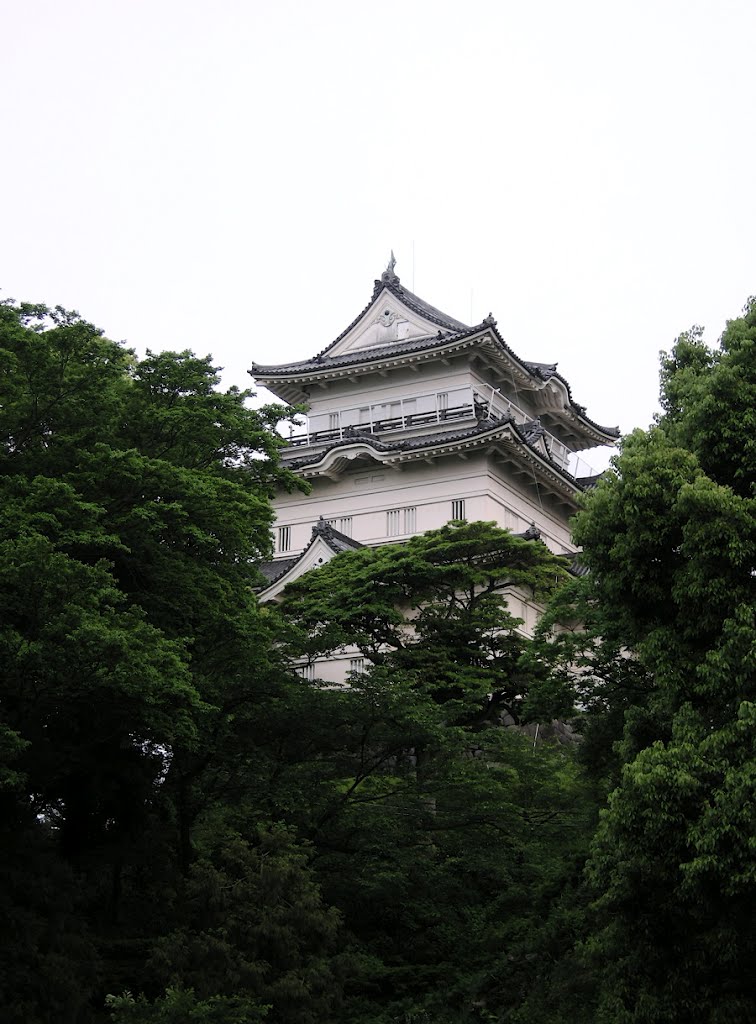 小田原城天守閣を望む (Overlook castle tower of Odawara castle), Одавара