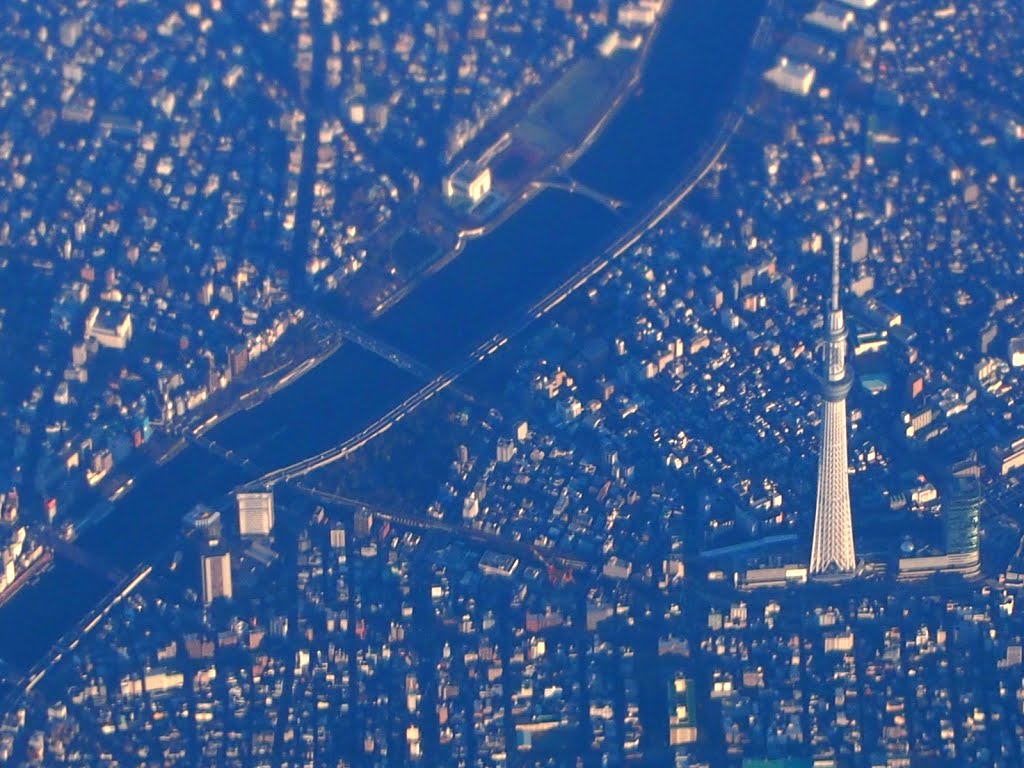 隅田川と東京スカイツリー / Sumida-gawa Riv. & Tokyo Sky Tree, Сагамихара