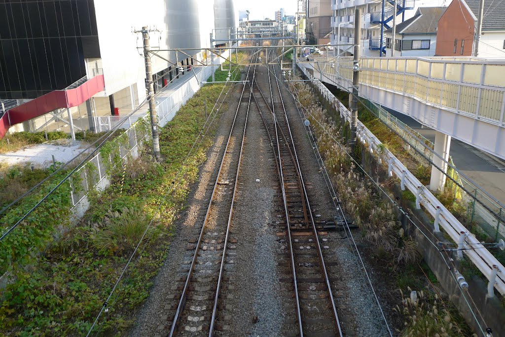 横浜線, Сагамихара