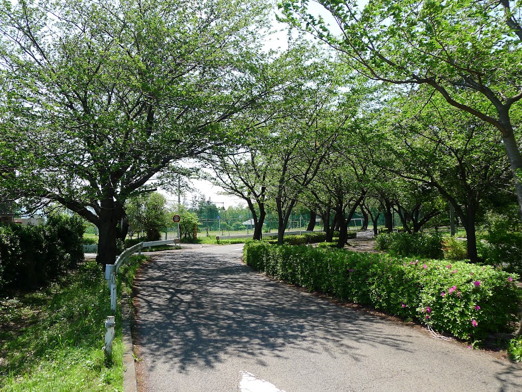 尾根緑道, Сагамихара