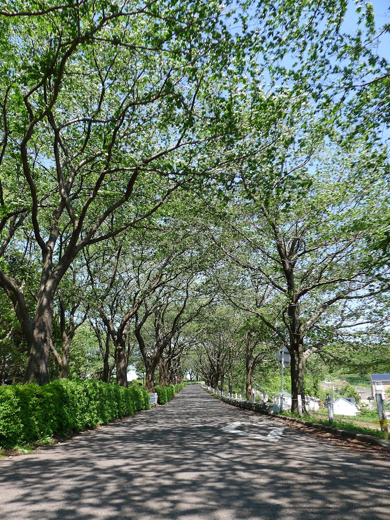 尾根緑道, Сагамихара