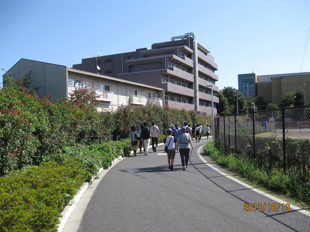青山学院大学相模原キャンパスへ向かう歩道, Сагамихара