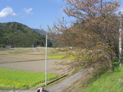 Kameoka Umahori View, Камеока