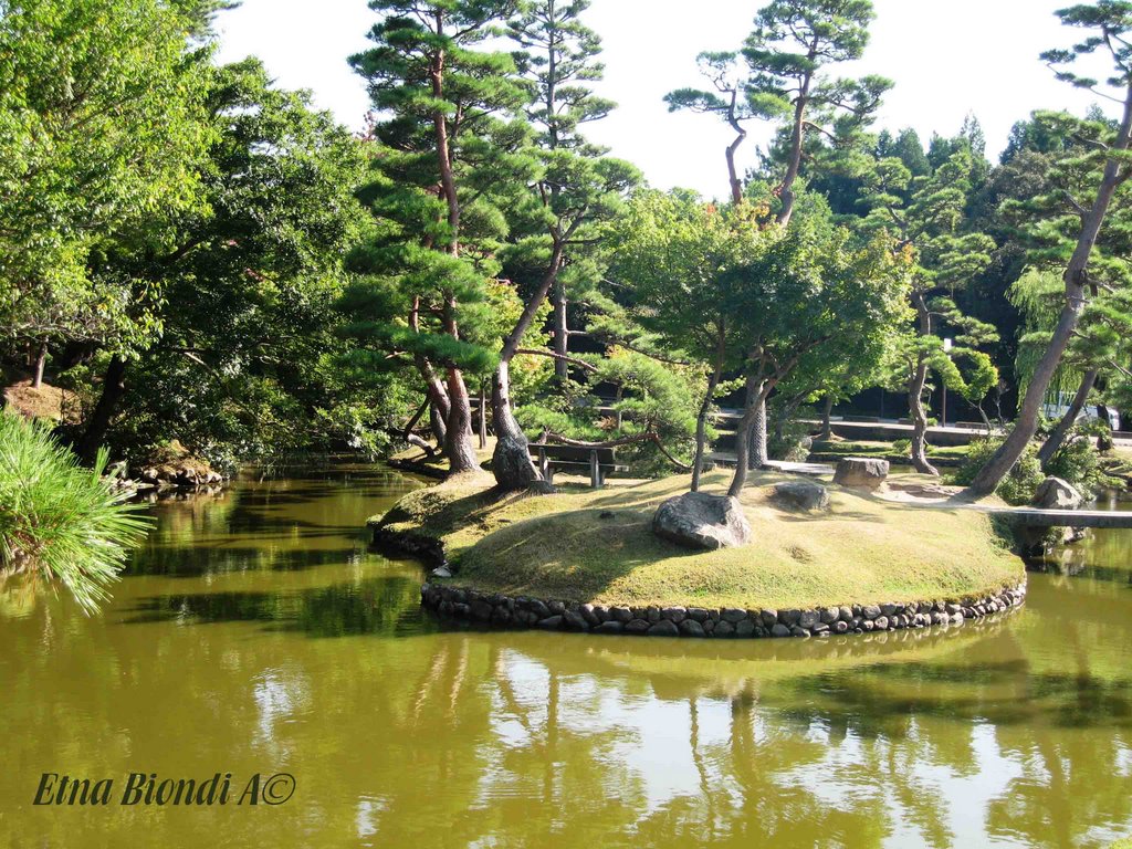 japanase zen garden, Киото