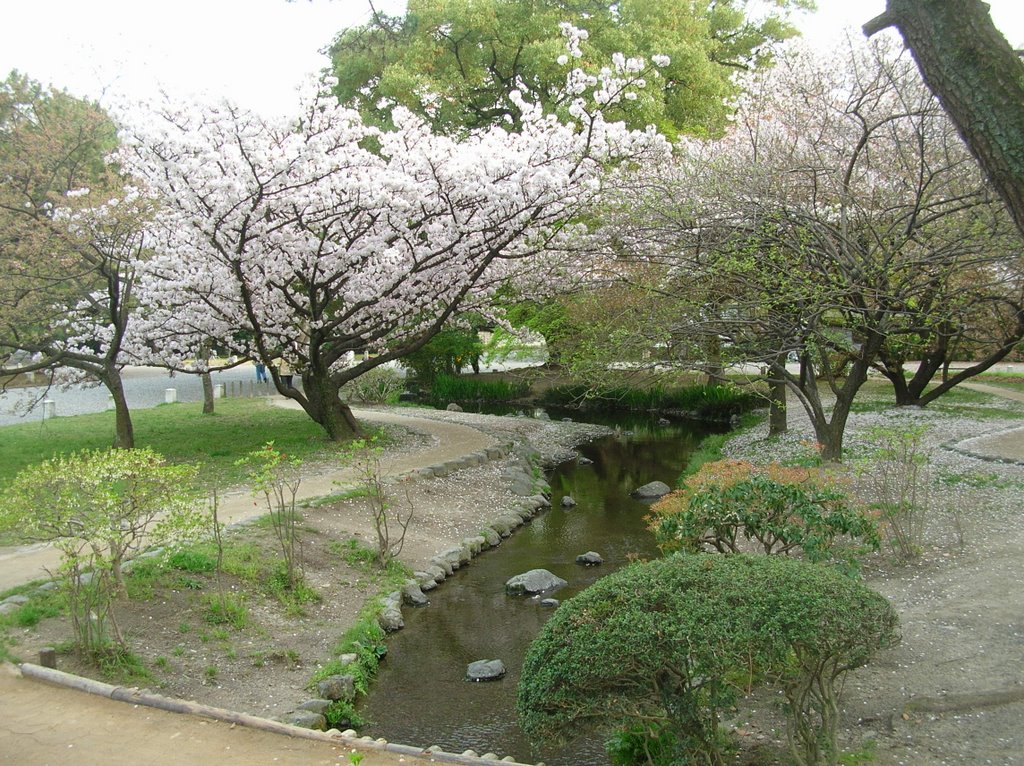 Kyoto Gyoen National Garden, Киото