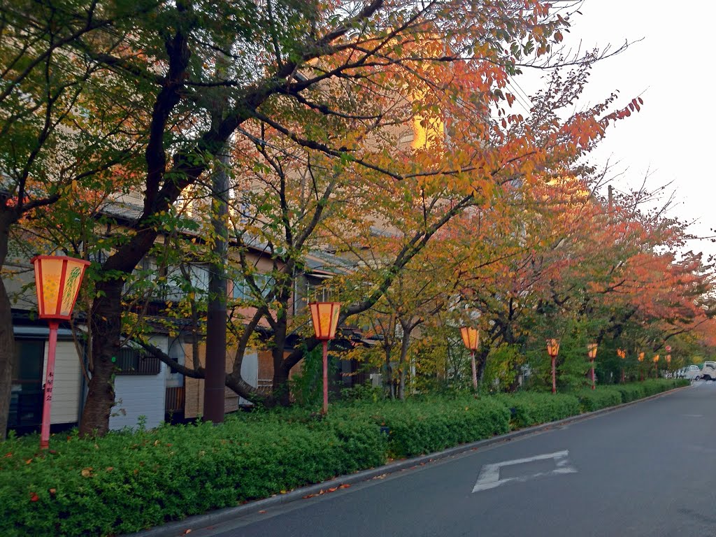 Autumn of Kiyamachi Street in Kyoto 秋の木屋町通, Киото