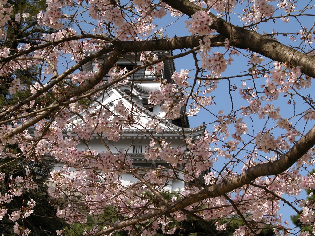 Kochi castle in Spring 2003, Кочи
