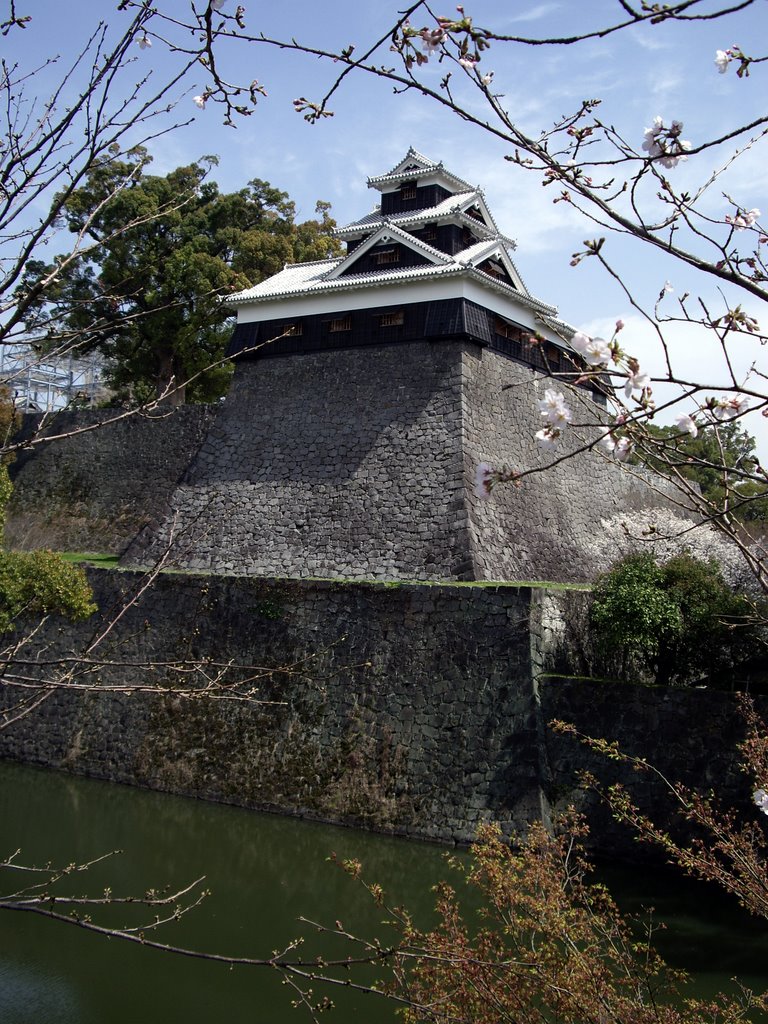 Nishi-takeno-maru (Iita-maru) yagura (turret), Kumamoto Castle  西竹野丸　（飯田丸）５階櫓, Кумамото
