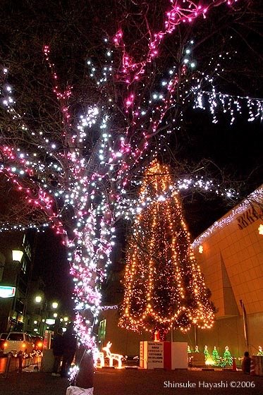 RKKs big Christmas tree, Кумамото
