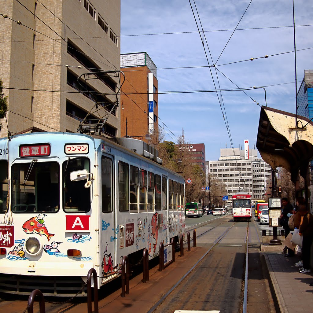 Karashima-Cho Dentei Tram station (2011 Mar.), Минамата