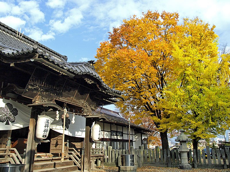 武井神社, Матсумото