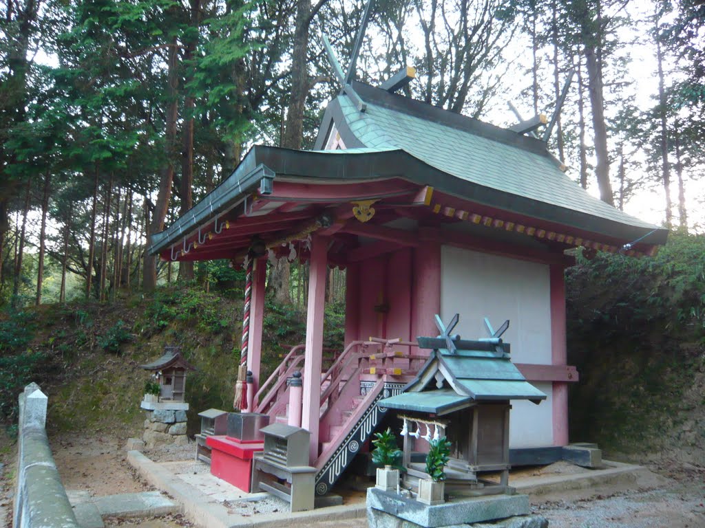 御所市戸毛 春日神社 Kasuga-jinja, Tōge 2011.4.25, Нагано