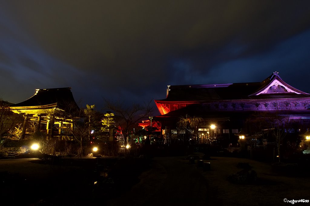 Nagano Lantern Festival  長野灯明まつり, Саку