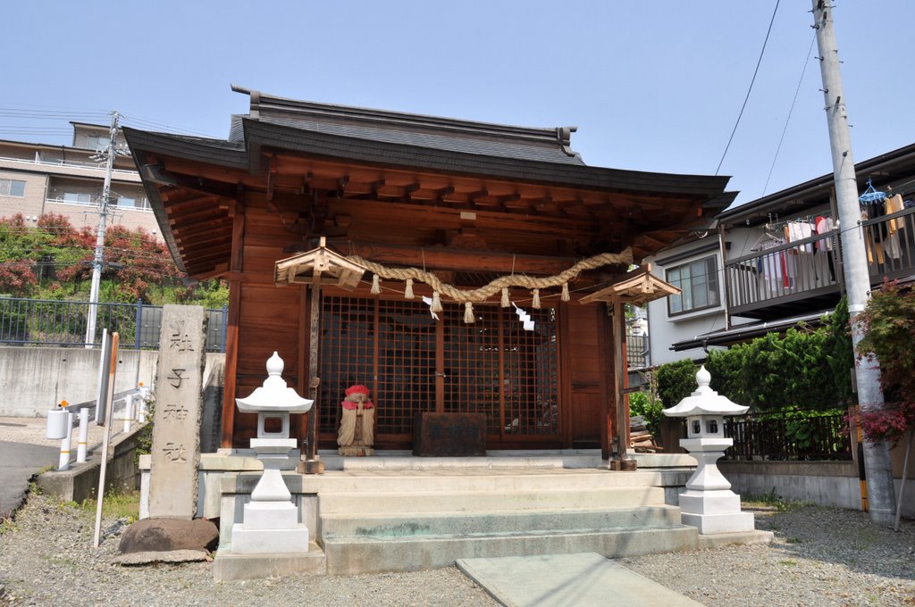 Yokoyama-Shago-Jinja  横山社子神社  (2009.05.09), Саку