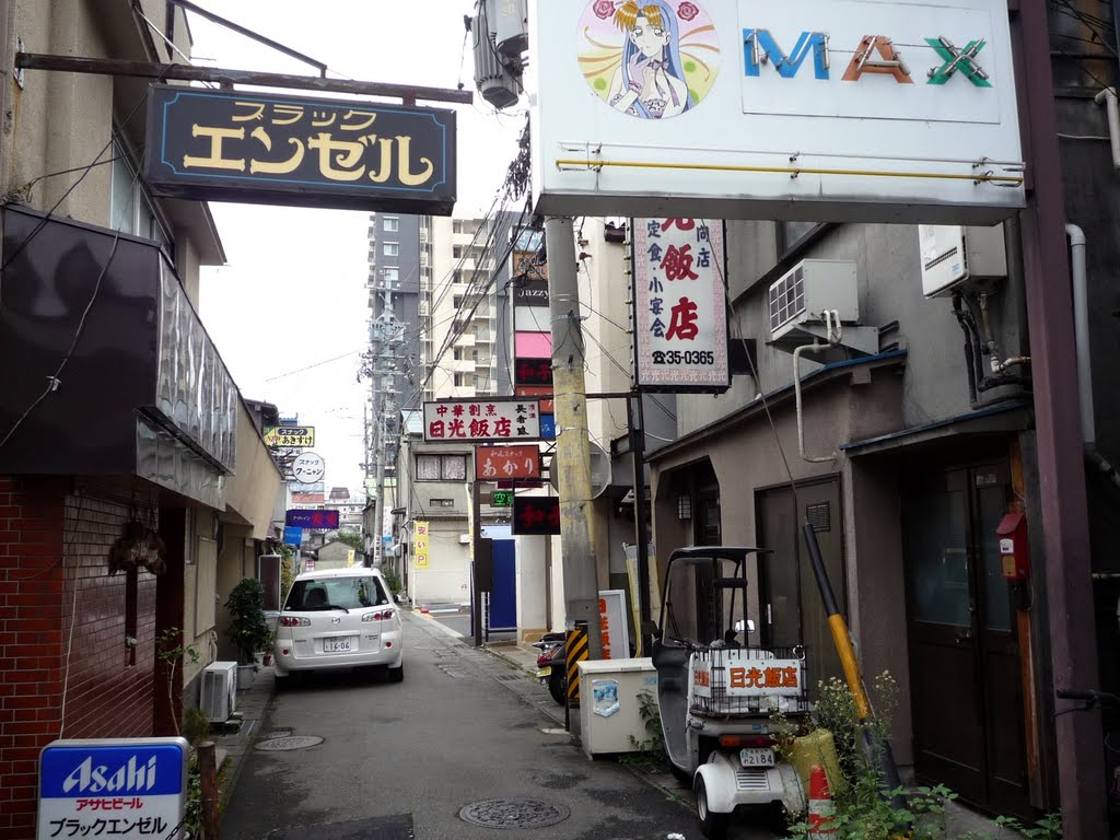Alley in Nishi Tsuruga 西鶴賀商店街の路地, Саку