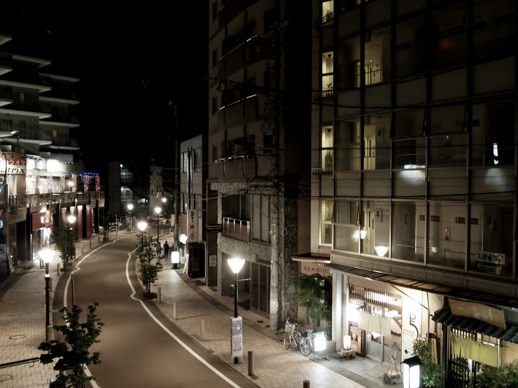 Yumeria street－night view, Саку